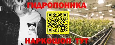 ГАЛЛЮЦИНОГЕННЫЕ ГРИБЫ Шебекино