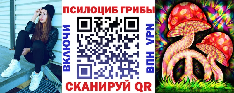 Галлюциногенные грибы Psilocybe  Мегион 