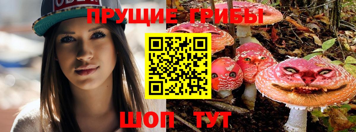 Псилоцибиновые грибы Psilocybine cubensis  Вход с VPN  Псилоцибиновые грибы Psilocybe  Мегион 